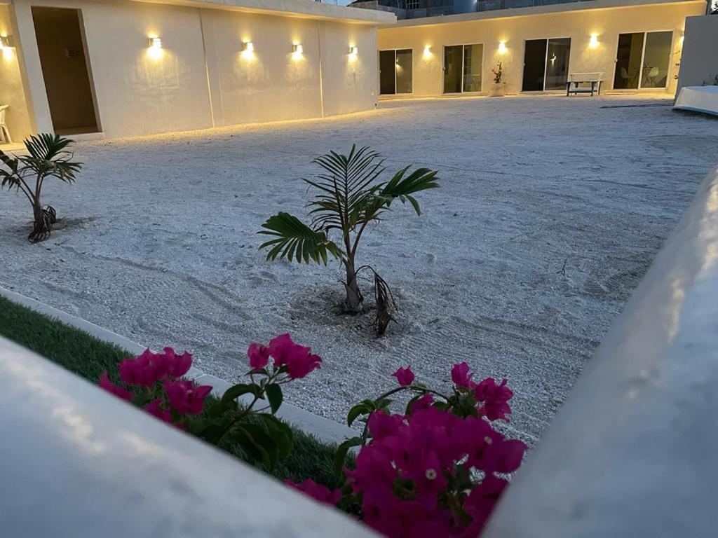 Palomar Villas Rio Lagartos Río Lagartos Exterior foto